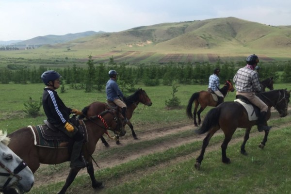 關(guān)于澳門特馬今晚開獎的討論與警示，澳門特馬今晚開獎討論及警示