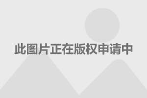 電視劇護心演員表深度解析，電視劇護心演員表深度解析與角色剖析