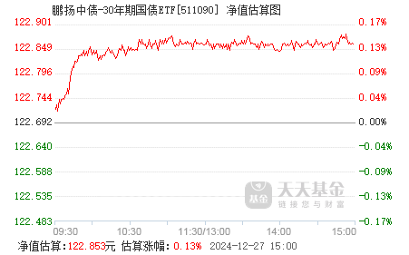 鵬揚(yáng)中債-30年期國債ETF，深度解析及其投資策略，鵬揚(yáng)中債-30年期國債ETF深度解析與投資策略探討