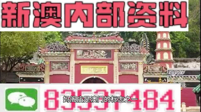 澳門三肖三碼精準(zhǔn)100%黃大仙——揭示背后的違法犯罪問(wèn)題，澳門三肖三碼精準(zhǔn)預(yù)測(cè)背后的違法犯罪問(wèn)題揭秘