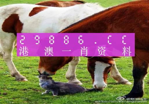 澳門一碼精準(zhǔn)預(yù)測生肖