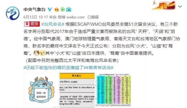 警惕虛假博彩陷阱，新澳門必中三肖三碼三期必開劉伯背后的風險，警惕虛假博彩陷阱，揭秘新澳門劉伯背后的風險與三期必開真相