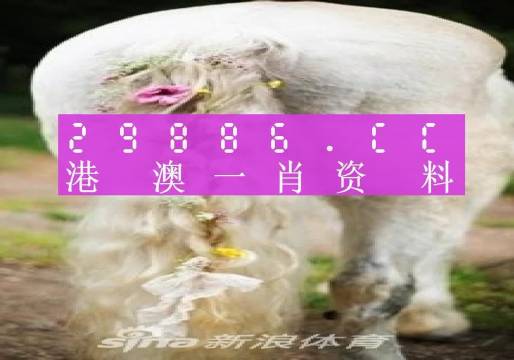 澳門(mén)內(nèi)部資料精準(zhǔn)大全2023，揭示背后的風(fēng)險(xiǎn)與挑戰(zhàn)，澳門(mén)內(nèi)部資料精準(zhǔn)大全揭秘，風(fēng)險(xiǎn)與挑戰(zhàn)并存于2023年