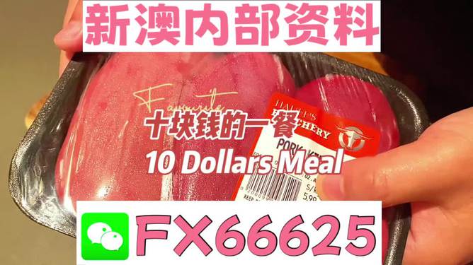 新澳全年免費(fèi)資料大全，探索與收獲，新澳全年免費(fèi)資料大全，探索之旅與收獲的時(shí)刻