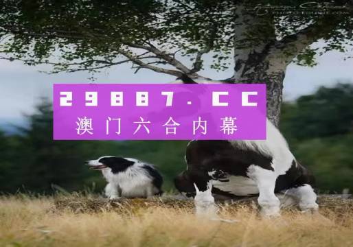 澳門今晚開特馬四不像圖——探索澳門彩票的奧秘，澳門彩票奧秘探索，特馬四不像圖今晚揭曉