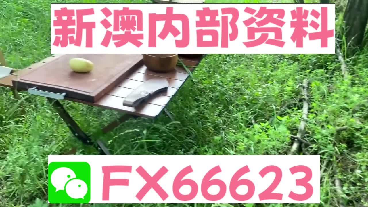 新澳天天開(kāi)獎(jiǎng)資料大全與旅游攻略詳解，新澳天天開(kāi)獎(jiǎng)資料及旅游攻略詳解大全