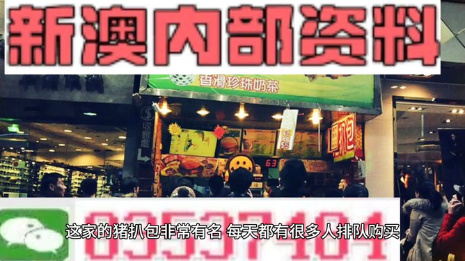 新奧天天精準(zhǔn)資料大全，探索與解析，新奧天天精準(zhǔn)資料大全，深度探索與全面解析