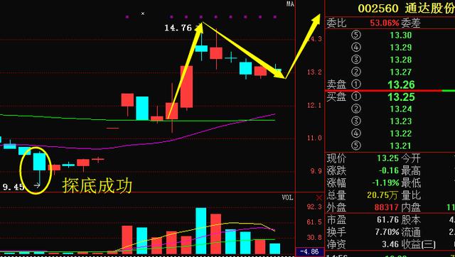 通達股份股票股吧，深度解析與前景展望，通達股份股票股吧深度解析及前景展望