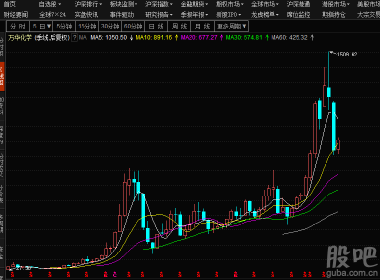 股吧600309，深度解析與前景展望，股吧600309深度解析與未來(lái)前景展望