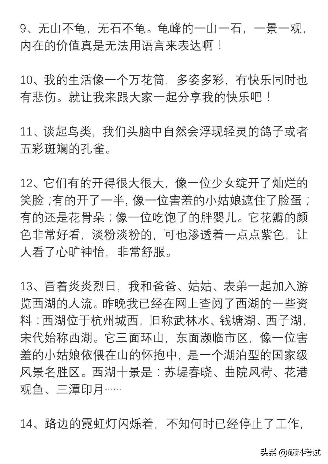 四年級(jí)新聞?wù)?，一則關(guān)于環(huán)保的新聞報(bào)道，四年級(jí)環(huán)保新聞?wù)?，關(guān)注環(huán)境保護(hù)的最新動(dòng)態(tài)