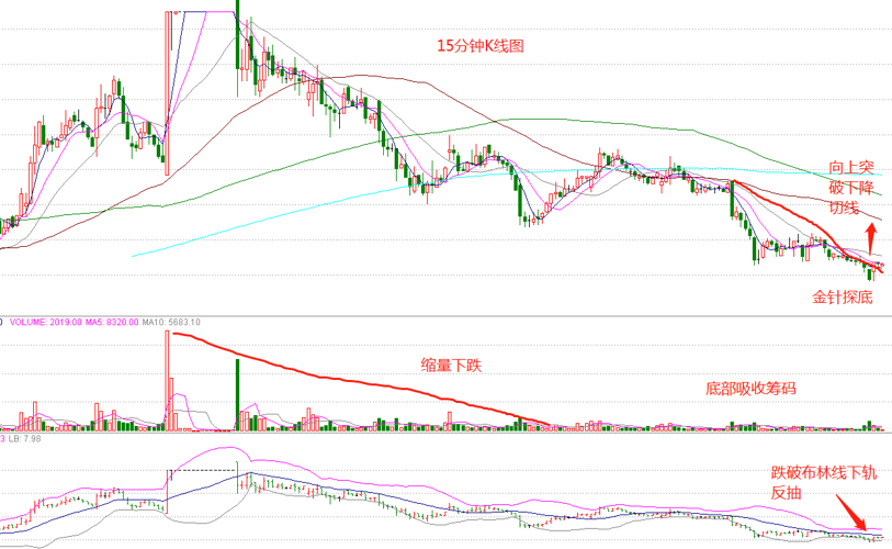 股票000962，深度解析與前景展望，股票000962深度解析與未來前景展望