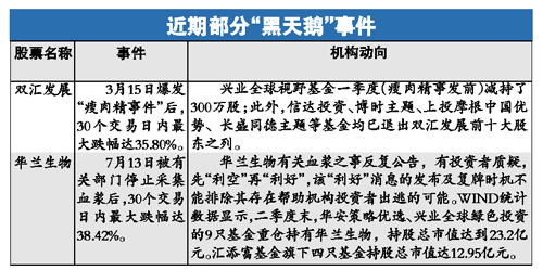 揭秘最準一肖一碼，探尋100%精準評論的背后