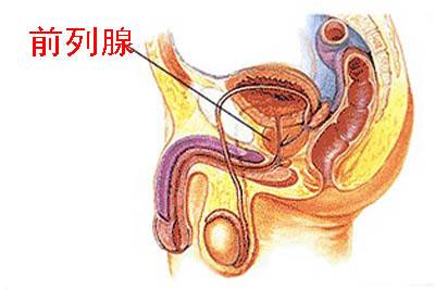 前列腺自我按摩手法圖解，一種有效的自我保健方法，前列腺自我按摩手法圖解，有效保健新方法！