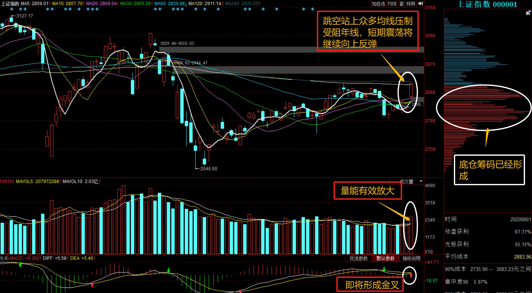 600736股票行情深度解析