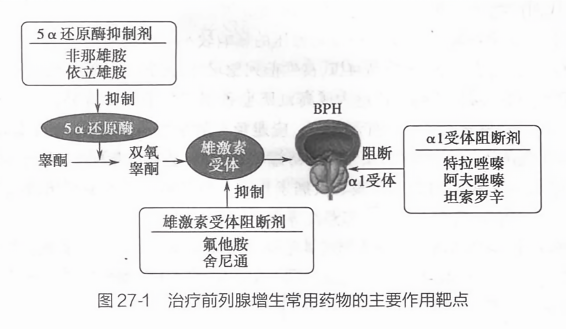 選擇與應(yīng)用的重要性