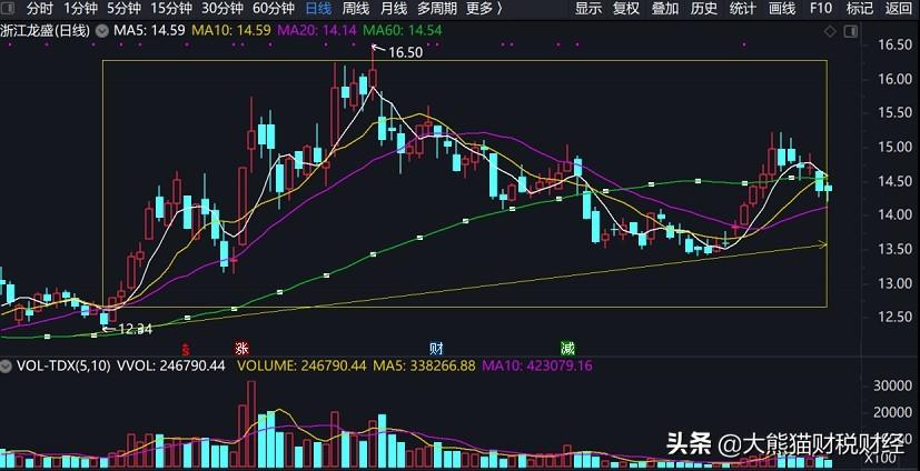 浙江龍盛最新消息