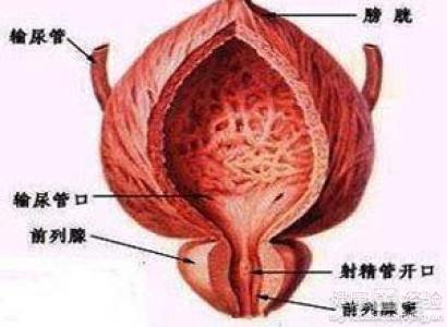 男性前列腺按摩