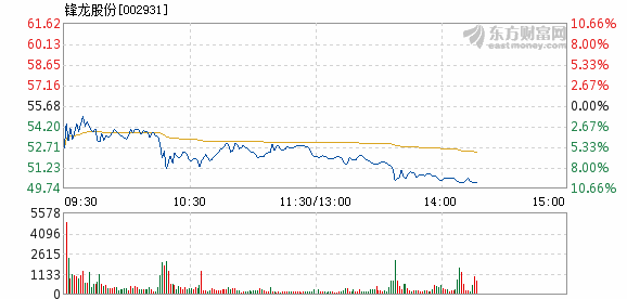 鋒龍股份股票，探究其潛力與價(jià)值，鋒龍股份股票，深度解析其潛力與價(jià)值