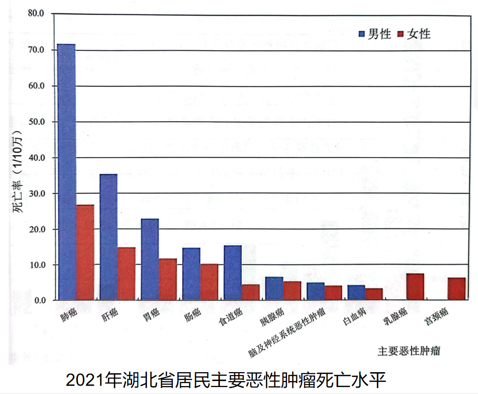 睪丸癌死亡率及其相關(guān)因素探討，睪丸癌死亡率及其影響因素分析