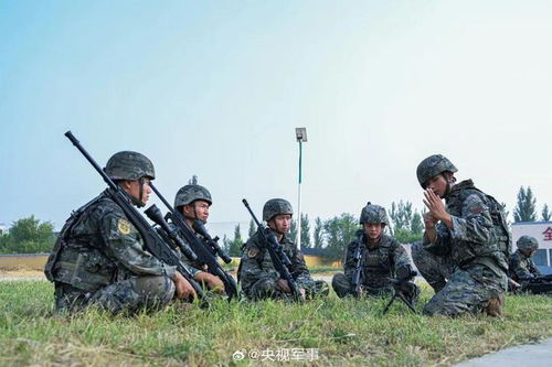 全國(guó)雇傭兵征兵網(wǎng)官網(wǎng)，探索現(xiàn)代軍事力量的招募與培養(yǎng)之路，全國(guó)雇傭兵征兵網(wǎng)官網(wǎng)，現(xiàn)代軍事力量招募與培養(yǎng)之路探索